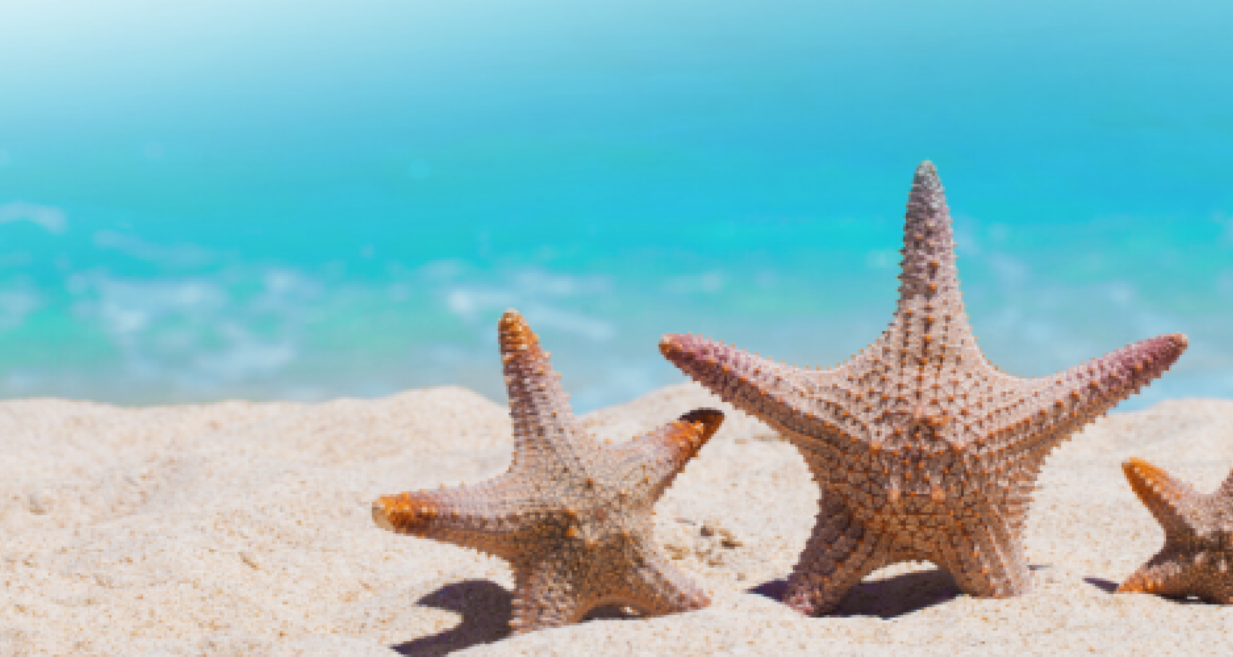 Summer Holidays 2020 Albintra Summer Holidays 2020 Albintra